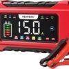 NEXPEAK NC215 15Amp Battery Charger 12V 24V LiFePO4 Lead Acid Portable Car Battery Charger 9Stage Trickle Charger Smart Battery Maintainer wTemp Compensation for Car Truck Lawn Mower Boat Marine